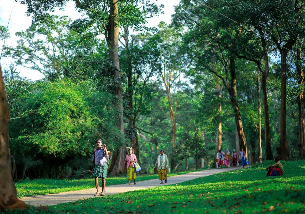 Tusker Inn Wayanad Forest Villa By Voye Homes エクステリア 写真