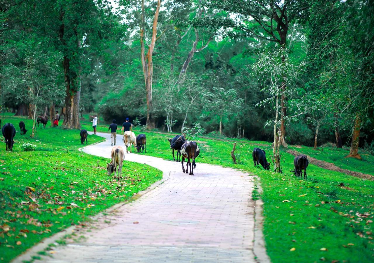 Tusker Inn Wayanad Forest Villa By Voye Homes エクステリア 写真