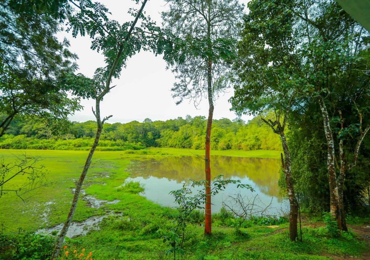 Tusker Inn Wayanad Forest Villa By Voye Homes エクステリア 写真